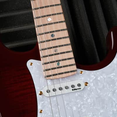 Fender STR RK Richie Kotzen Signature Stratocaster MIJ 2022 - See Thru Red image 4