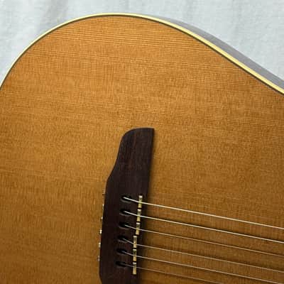 Godin Multiac Grand Concert SA Nylon String Classical Guitar with Case 2012 image 4