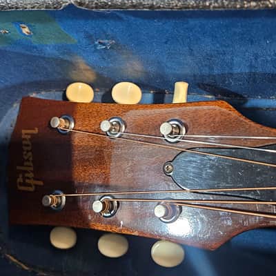 Gibson B-25  - Natural image 5