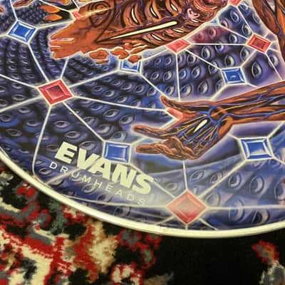 Evans Danny Carey 22"  Fear Inoculum “The Turning Man” #1 & #2  Bass Drum Head Set image 5