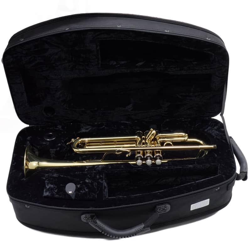Bach Model VBS2 Professional Bb Trumpet (Export Model) BRAND NEW image 1