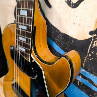 Gibson Les Paul Recording 1973- Walnut - Excellent condition image 5