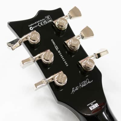 ESP LTD Signature Bill Kelliher Royal Shiva Electric Guitar - Silver Sunburst Bild 11