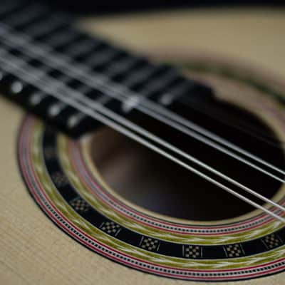 Fernando Paizinho 8-String Mandolin image 7