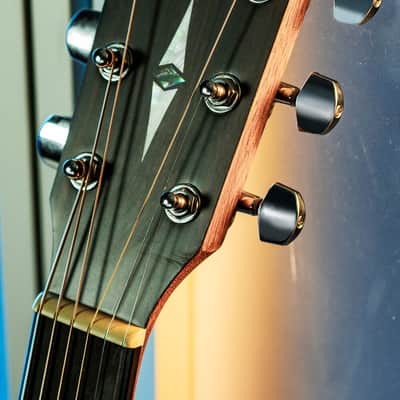 Cort Earth Series Acoustic Dreadnought Guitar Earth 70 - Open Pore Bild 8