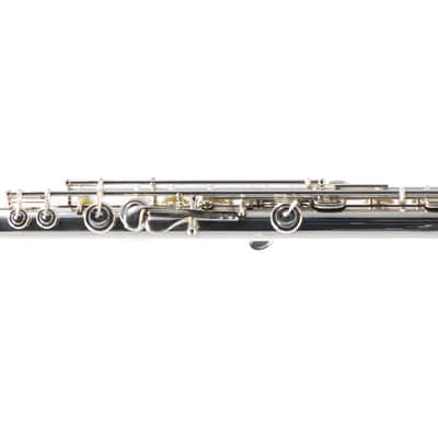 William S. Haynes Custom Silver Flute with B Foot, Offset G, C# Trill, Split E image 12