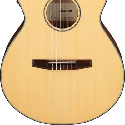 Ibanez AEG50N-NT AEG Nylon String Guitar 6-String - Natural image 11