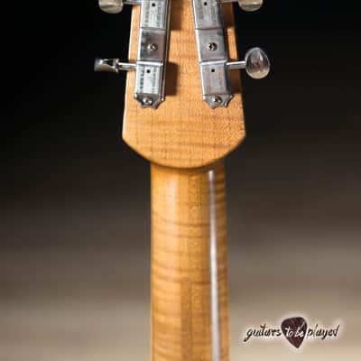 Shabat Lion Special Swamp Ash T-Style w/ Maple Neck & Lollar P-90s – Satin Black image 6