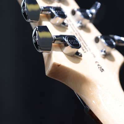 PRS SE Custom 24 Burled Ash Limited Edition Natural Electric Guitar w/Bag #G110243 image 19