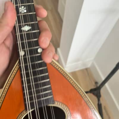 Gorgeous Martin Style Vintage 1800’s J. Howard W. Foote & Co CHALLENGE ROSEWOOD Bowlback Mandolin Challenge Bowlback Tater Bug Mandolin - Brazilian Rosewood image 9