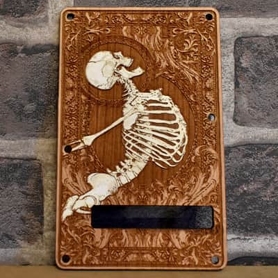 Stratocaster Tremolo Backplate image 1