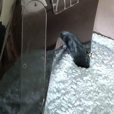 B.C. Rich Warlock (Platinum Series) 1990-2005 - Black Gloss image 7