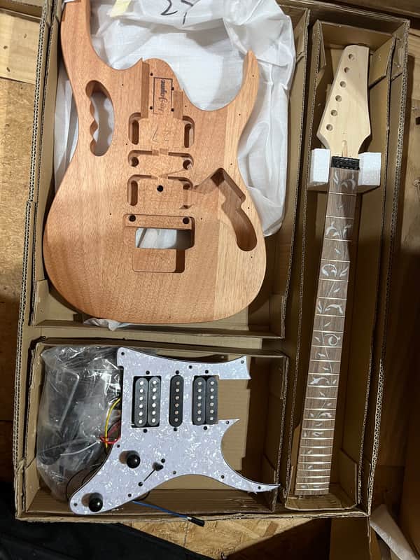 Open Box Leo Jaymz S V Style Electric Guitar DIY Project Kit Leo Jaymz image 1