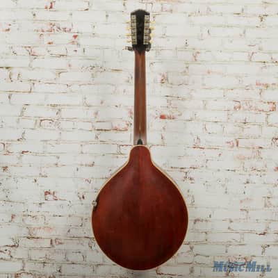 Vintage Gibson 1917 K2 Mandocello Black (USED) image 9