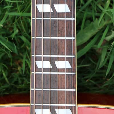 ♫ LOW Price (Neck issue) Early 70's Japanese Hummingbird ♫ Suzuki Factory JAPAN ♫ Pro setup image 7