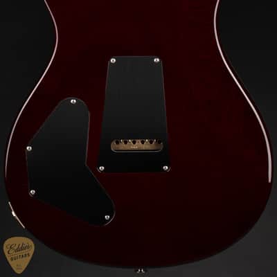 PRS Eddie's Guitars Wood Library DGT (David Grissom Trem)/Mahogany Neck - Aquableux Purple Burst image 5
