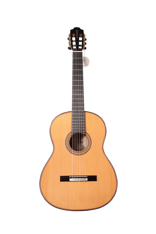 Manuel Adalid Homenaje - Cedar Double top/Solid Ziricoté back/sides - Handmade in Spain - 2025 image 1