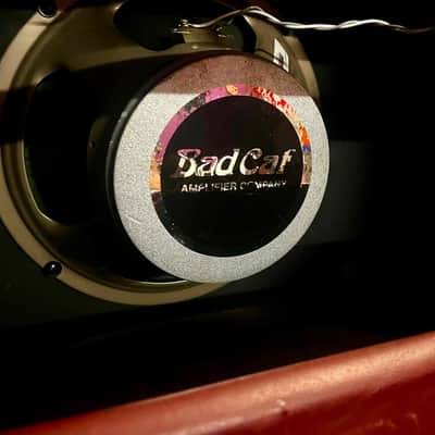 Bad Cat AB50 2010 - Wine tolex image 4