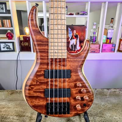 MTD 535-24 with Quilted Makore Top, Flamed Maple Body & Birdseye Maple Fingerboard image 1