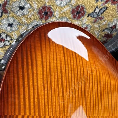 PRS Hollowbody II Piezo 2008 image 15