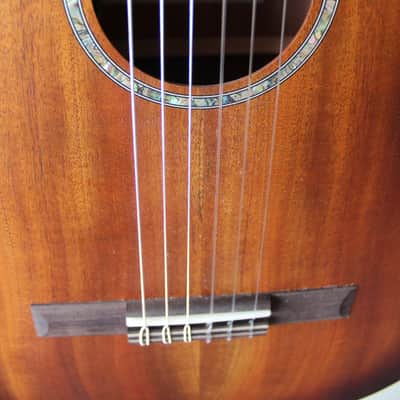 Used Cordoba C4-CE Nylon String Acoustic/Electric Classical Guitar with Gig Bag image 5