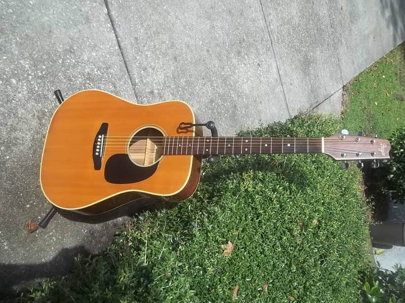 Brazos Acoustic Guitar~Model 202~Rosewood,Japan~Large Soundhole~Bluegrass~Cannon image 1