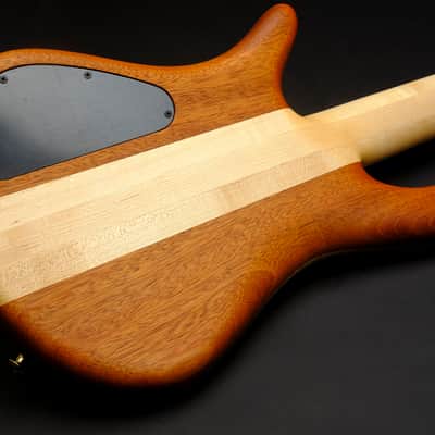 Spector NS-5 Neck-Thru 2025 - Birdseye Maple Master Grade image 3