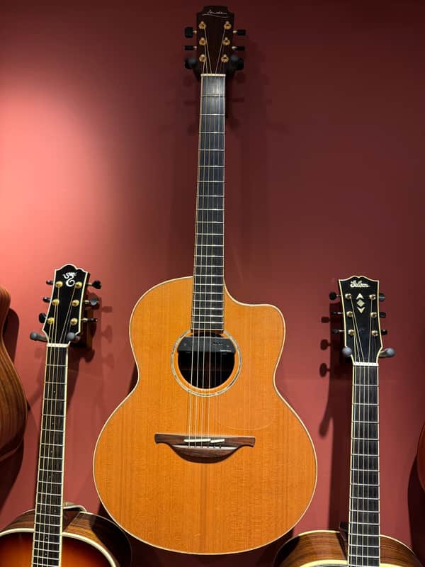Lowden F-35c Cedar Ziricote image 1