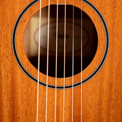 Taylor BT2 Baby Taylor Acoustic Guitar with Gig Bag image 10