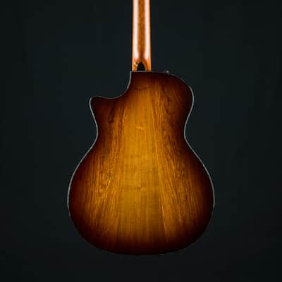 Taylor PS14ce Presentation Series Honduran Rosewood and Adirondack Spruce with Pickup Used (2025) image 3