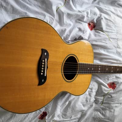 Aria FE60 Elecord 1980s Natural MIJ | Reverb