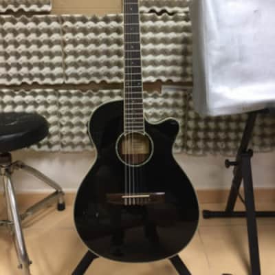 IBANEZ AEG10 (AEG10E, AEG10II) acoustic guitars for sale in USA