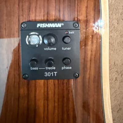 Washburn WD250SWCE Dreadnought Cutaway with Electronics 2010s - Natural image 7