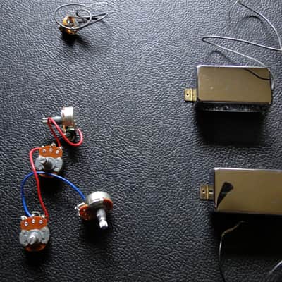 Epiphone Les Paul Bass pickups and pots early 2000s image 1