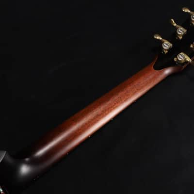 Taylor Builder's Edition 914ce LTD Macassar 039 image 6