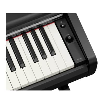 Yamaha Arius YDP-146B Digital Home Piano with Bench (Black Walnut) image 5