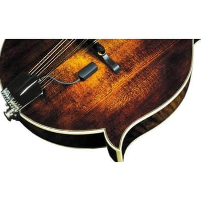 LR Baggs Radius-M - Mandolin Pick Up image 3