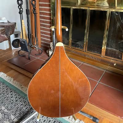 Trinity College Octave Mandolin TM-325 & Case image 3