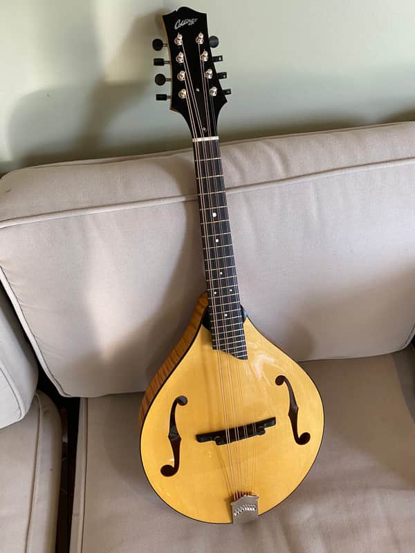 Collings Mandola 2023 - Honey Amber image 1