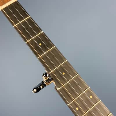 Pisgah Roscoe 5-String Banjo image 12
