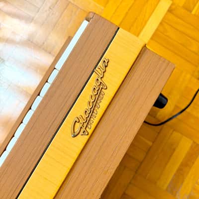 Super Rare Giaccaglia Chord/Reed Organ (Italy, 1960s) – vintage electric organ and harmonium! image 16