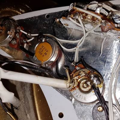 Fender Gold/Gold Stratocaster 1981 - 1983 image 18
