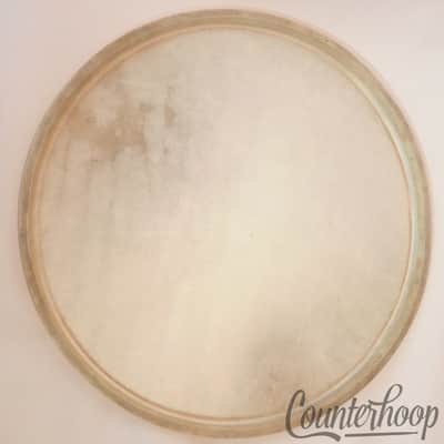*Ludwig 12" Calf Skin Ride Tom Drum Head Calfskin Thick Batter Vintage 30s USA* image 2