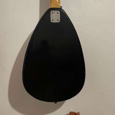 Kapa Minstrel 12 string 1960s image 4