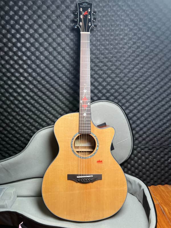 Kepma F2 Solid Top Acoustic Guitar with gig bag image 1