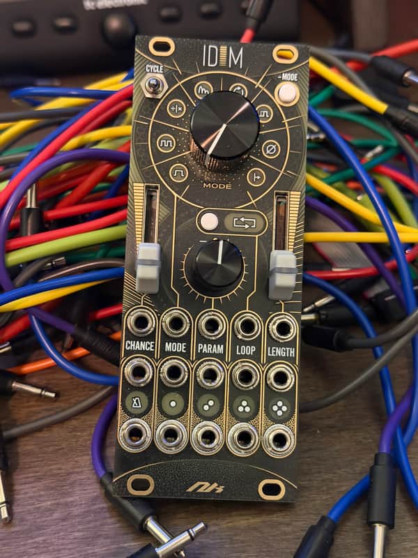 Mystic Circuits IDUM w/ black and gold panel