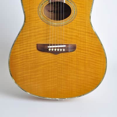 Fender Montara, Rare acoustic eletric form fender! Comes with a nice hardshell case! image 2