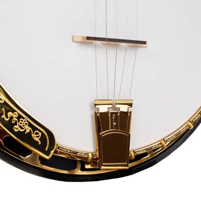 Gold Tone OB-300/L Orange Blossom Banjo Left-Handed "The Gold-Plated Beauty" with Case image 3