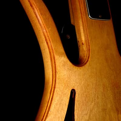 AMPEG ASB1 1966 Natural. The DEVIL BASS. Extremely Rare & Collectible. Pure Art. image 22