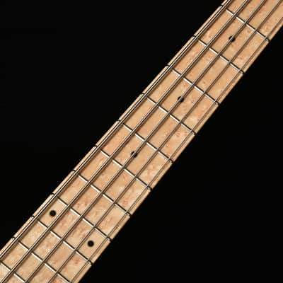 STR guitars LS549 - Burl Maple image 7